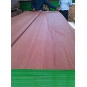 Recon gurjan veneer