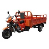 埃及客商采购电动和混动三轮摩托车