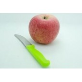 瑞典寻求水果刀具制造商