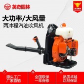 厂家直销EB750两冲程背负式吹风机除尘消防灭火机
