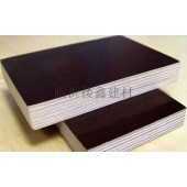 供应专用 胶合板 建筑模板 