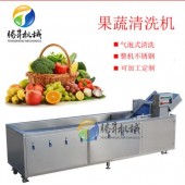 多功能果蔬气泡清洗机 苹果橙子水果清洗机