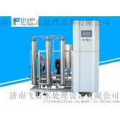 济南飞蓝250L双级反渗透设备超纯水机