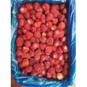 山东工厂直销鲜果速冻冷冻美十三草莓吨位批量出售