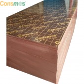Hot sale film faced plywood