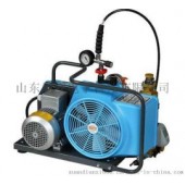 德国宝华BAUER100型呼吸器高压充气泵