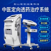 小型双通道中医定向透药治疗仪