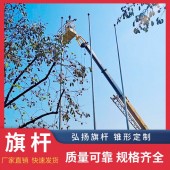 芜湖旗杆厂|国产新型电动旗杆|国货自强款旗杆安装公司