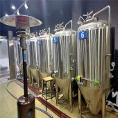 啤酒屋日产500升的小型精酿啤酒设备 酿酒的设备