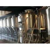 安徽酒店饭店精酿啤酒设备 日产500升啤酒的设备多少钱