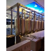 供应酒吧的精酿啤酒设备厂家日产200升啤酒发酵罐酿酒设备