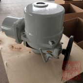 扬州扬修部分回转执行器DQW120-1W