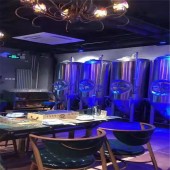 供应餐厅的精酿啤酒设备日产1000升精酿啤酒设备
