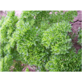 塑料香精+香草香精+塑料遮味剂