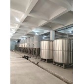 国内小型精酿啤酒设备500升啤酒设备啤酒糖化设备