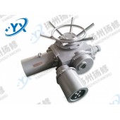 扬州扬修电力设备有限公司DZW系列