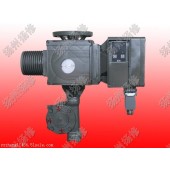 扬修2SB3521-9FA10调节型电动头