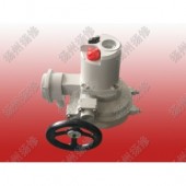 调节型部分回转电动头DQTZ60-0.5W