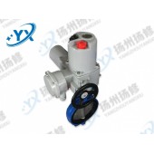 调节型部分回转电动头DQTZ60-0.5W