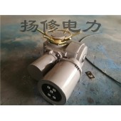 扬修一体化阀门电装DZW30-24-A00-WK2