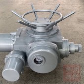 多回转电动头DZW30-DSI配截止阀闸阀