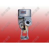 DKZ直行程电动执行器