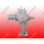 DZW电装式闸门启闭机QDA60螺杆式单吊点