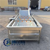 全自动果蔬清洗机 大型蔬菜水果清洗风干设备