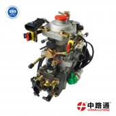 VE泵总成NJ-VE4/11E1800L019