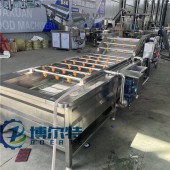 水果清洗流水线 圣女果清洗设备