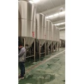 大连酒厂精酿啤酒设备10吨15吨大型精酿啤酒设备