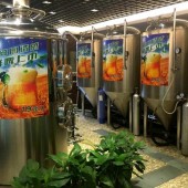 四川小型啤酒设备日产500升精酿啤酒的设备