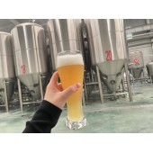 大型精酿啤酒设备 年产2000吨的自动化啤酒设备机器