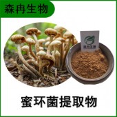 森冉生物 蜜环菌提取物 蜜环菌多糖 榛蘑提取物 原料粉