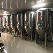 小型自动化精酿啤酒设备供应商
