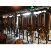 云南酒吧日产2吨精酿啤酒设备源头厂家