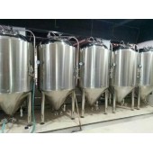 日产10吨工厂型大型精酿啤酒设备