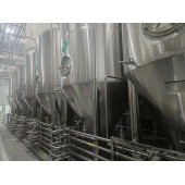 云南啤酒厂年产200吨大型自动化精酿啤酒设备生产厂家