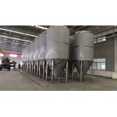 新疆年产50吨工厂型大型精酿啤酒设备生产供应厂家