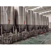 工厂型日产5吨大型精酿啤酒设备供应商