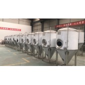 河南日产2吨小型啤酒厂啤酒设备生产厂家