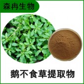 森冉生物 鹅不食草提取物 石胡荽提取物 比例提取原料粉