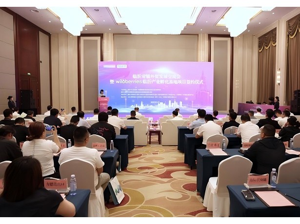 开辟直达欧亚市场“电商丝路” 俄罗斯最大电商平台助力临沂“百团千企·商城出海”