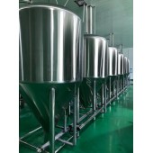 自酿啤酒设备生产厂家 日产5000升精酿啤酒设备厂家
