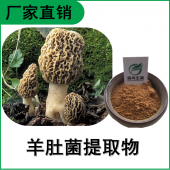 森冉生物 羊肚菌提取物 羊肚菌多糖 羊肚磨提取物