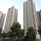 重庆水性墙面涂料/水性墙面漆/环保实用