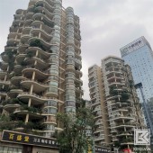 重庆水性漆批发_水性油漆厂_适应性强