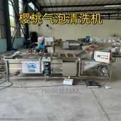 樱桃气泡清洗机 连续式桑葚清洗机器 蓝莓喷淋清洗去杂设备