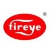 Fireye火焰检测器