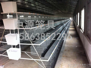肉鸡笼销售/临沂市中源笼具